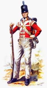 Did your ancestor fight in the Napoleonic wars? - Hampshire ...